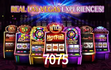 Flash Promotion 7075
